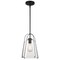 Westinghouse Pendant 60W Kewadin, Matte Black Clear Bell Glass 6130100 - alternate 6